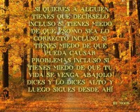 /album/fotogaleria/si-quieres-a-alguien-jpg/